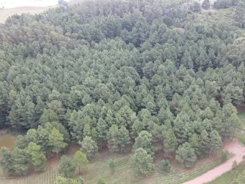 Chacra de 4,8 ha Lapataia, Maldonado Uruguay. — foto 5