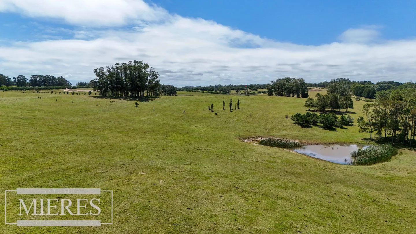 CHACRA EN VENTA, 20 HAS EN JOSE IGNACIO VISTA MAR — foto 4