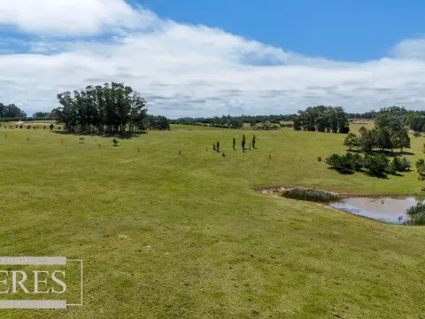 CHACRA EN VENTA, 20 HAS EN JOSE IGNACIO VISTA MAR — foto 4