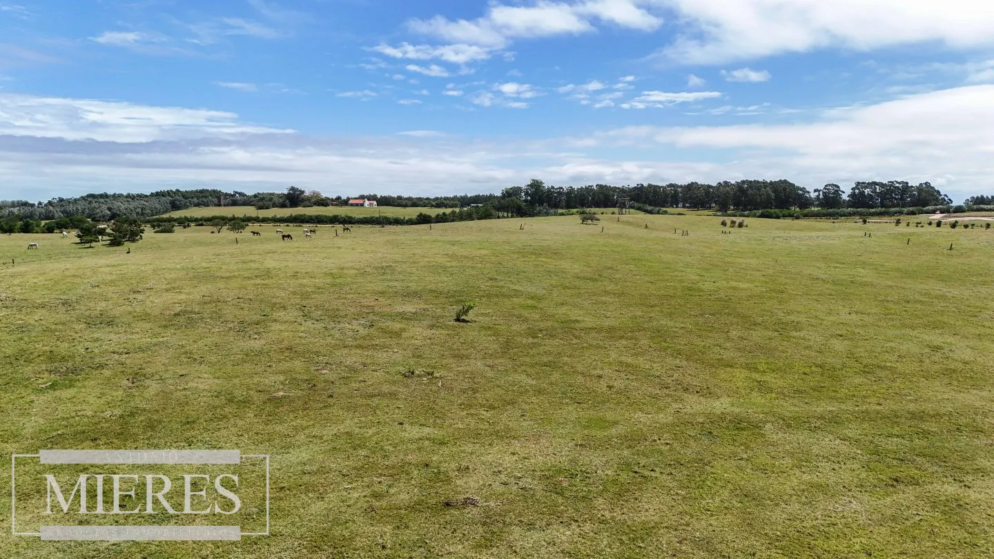 CHACRA EN VENTA, 20 HAS EN JOSE IGNACIO VISTA MAR — foto 5