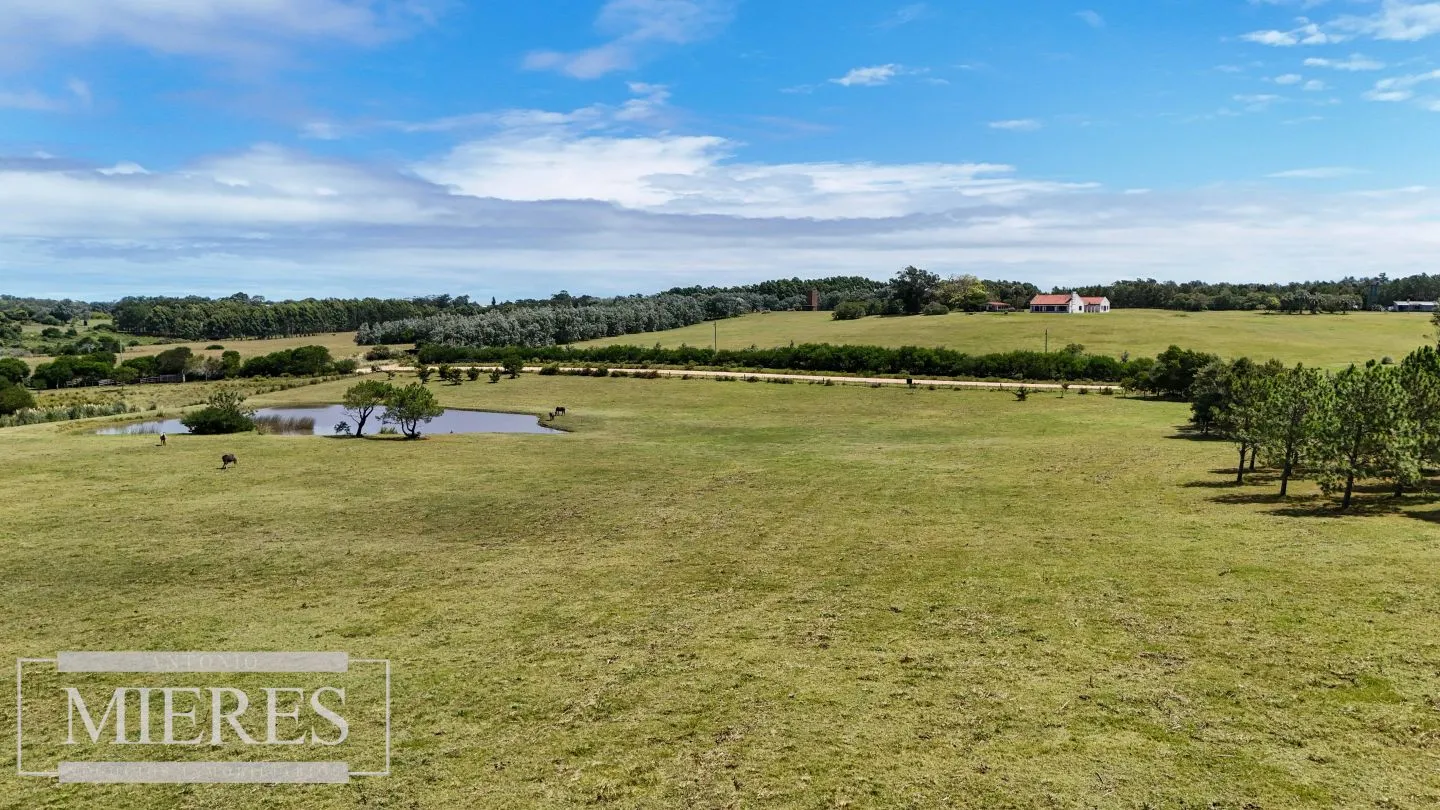 CHACRA EN VENTA, 20 HAS EN JOSE IGNACIO VISTA MAR — foto 6