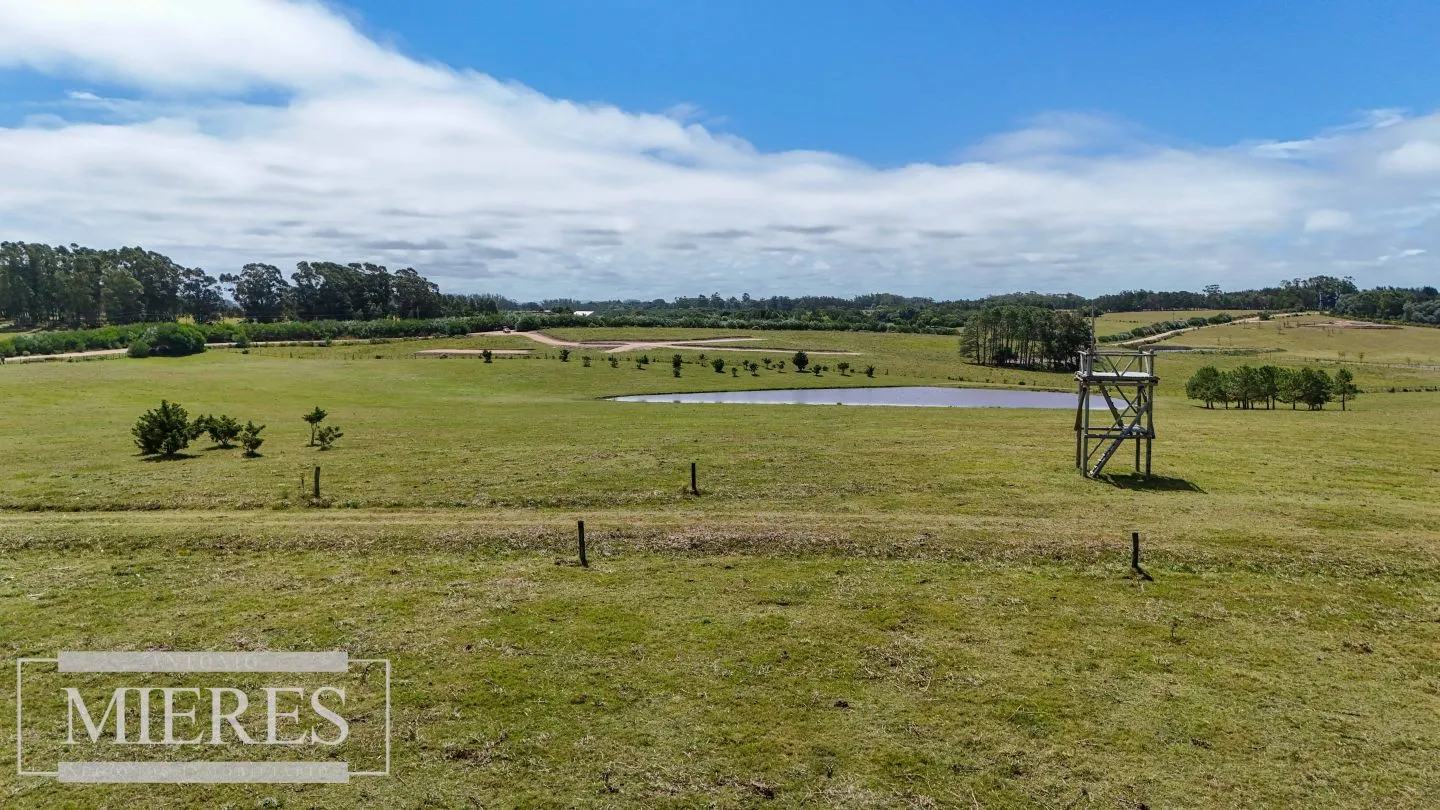 CHACRA EN VENTA, 20 HAS EN JOSE IGNACIO VISTA MAR — foto 7