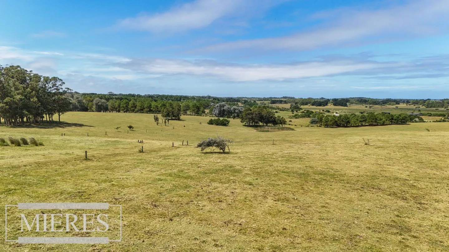 CHACRA EN VENTA, 20 HAS EN JOSE IGNACIO VISTA MAR — foto 8