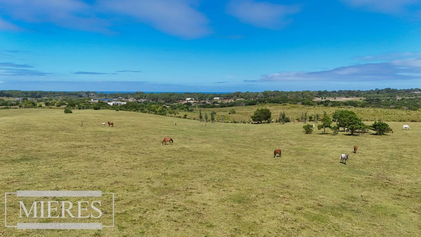 CHACRA EN VENTA, 20 HAS EN JOSE IGNACIO VISTA MAR — foto 9