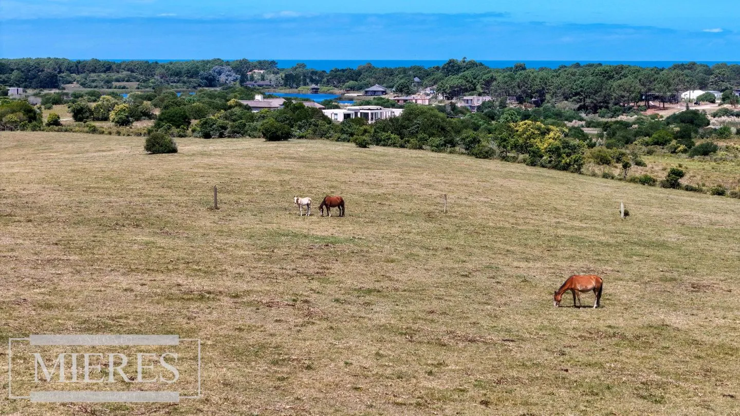 CHACRA EN VENTA, 20 HAS EN JOSE IGNACIO VISTA MAR — foto 10