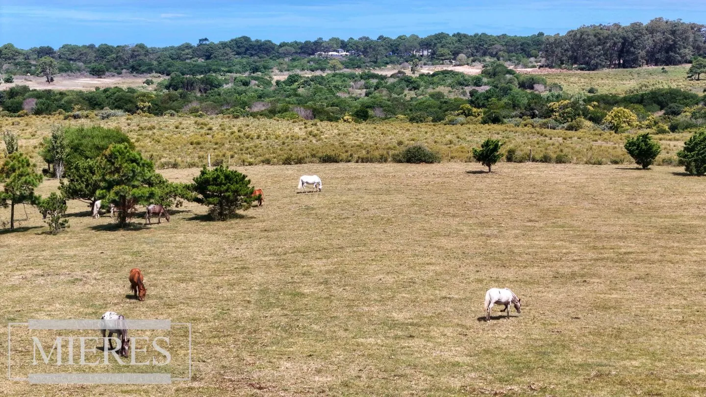 CHACRA EN VENTA, 20 HAS EN JOSE IGNACIO VISTA MAR — foto 11