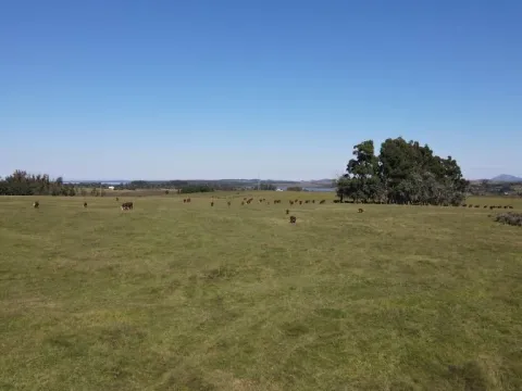 Chacra / Campo 73 ha en Maldonado