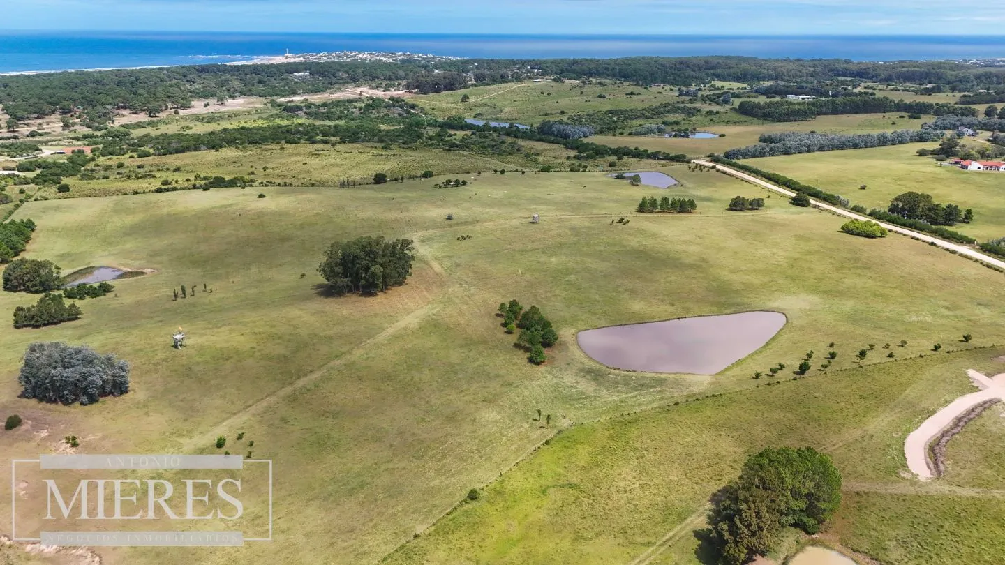 CHACRA EN VENTA, 20 HAS EN JOSE IGNACIO VISTA MAR — foto 16