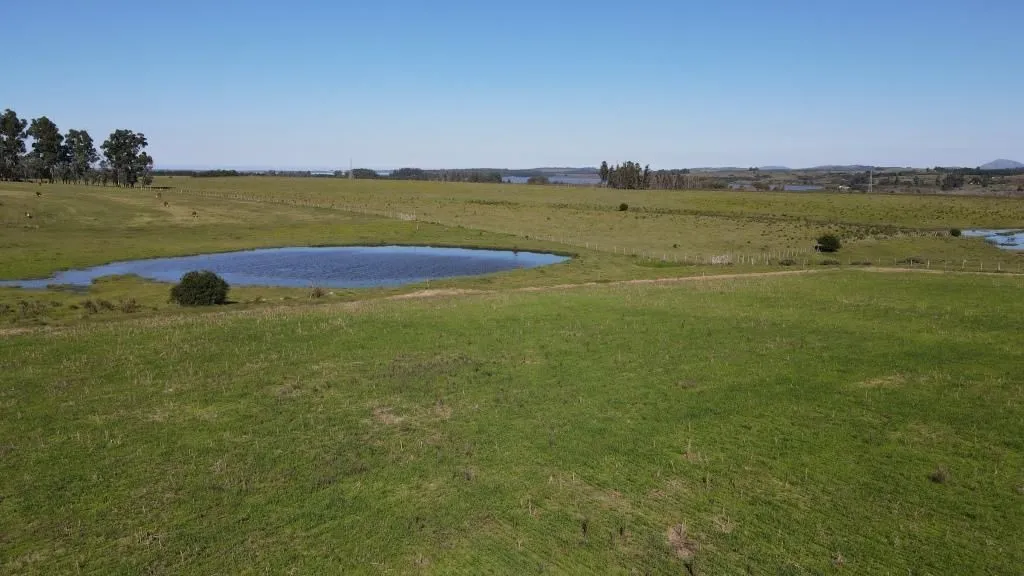 Chacra / Campo 73 ha en Maldonado — foto 4