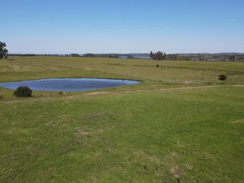Chacra / Campo 73 ha en Maldonado — foto 4