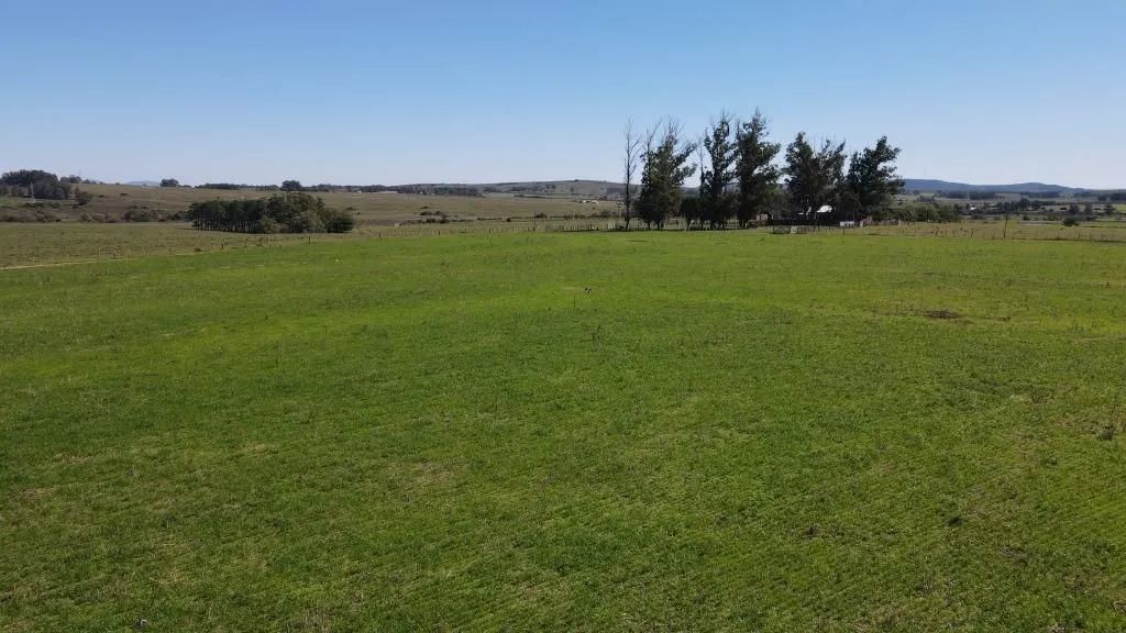 Chacra / Campo 73 ha en Maldonado — foto 5