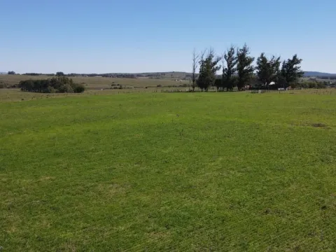 Chacra / Campo 73 ha en Maldonado — foto 5
