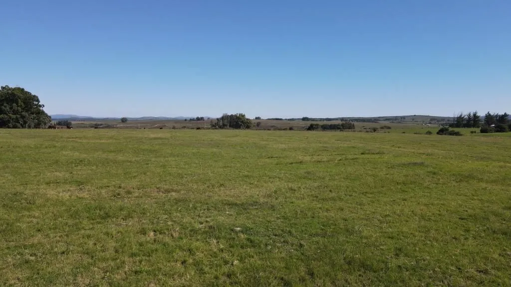 Chacra / Campo 73 ha en Maldonado — foto 6