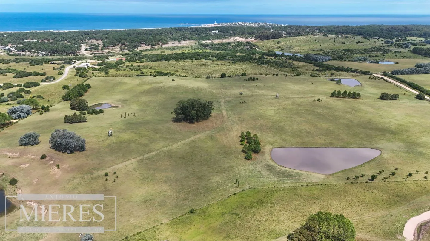 CHACRA EN VENTA, 20 HAS EN JOSE IGNACIO VISTA MAR — foto 18