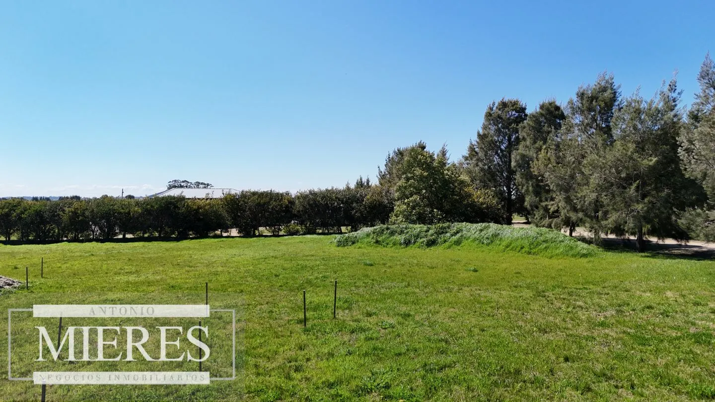 VENTA LOTE 7099 M2 BARRIO EN PH DE 7 UNID. ZNA GOLF LA BARRA — foto 6