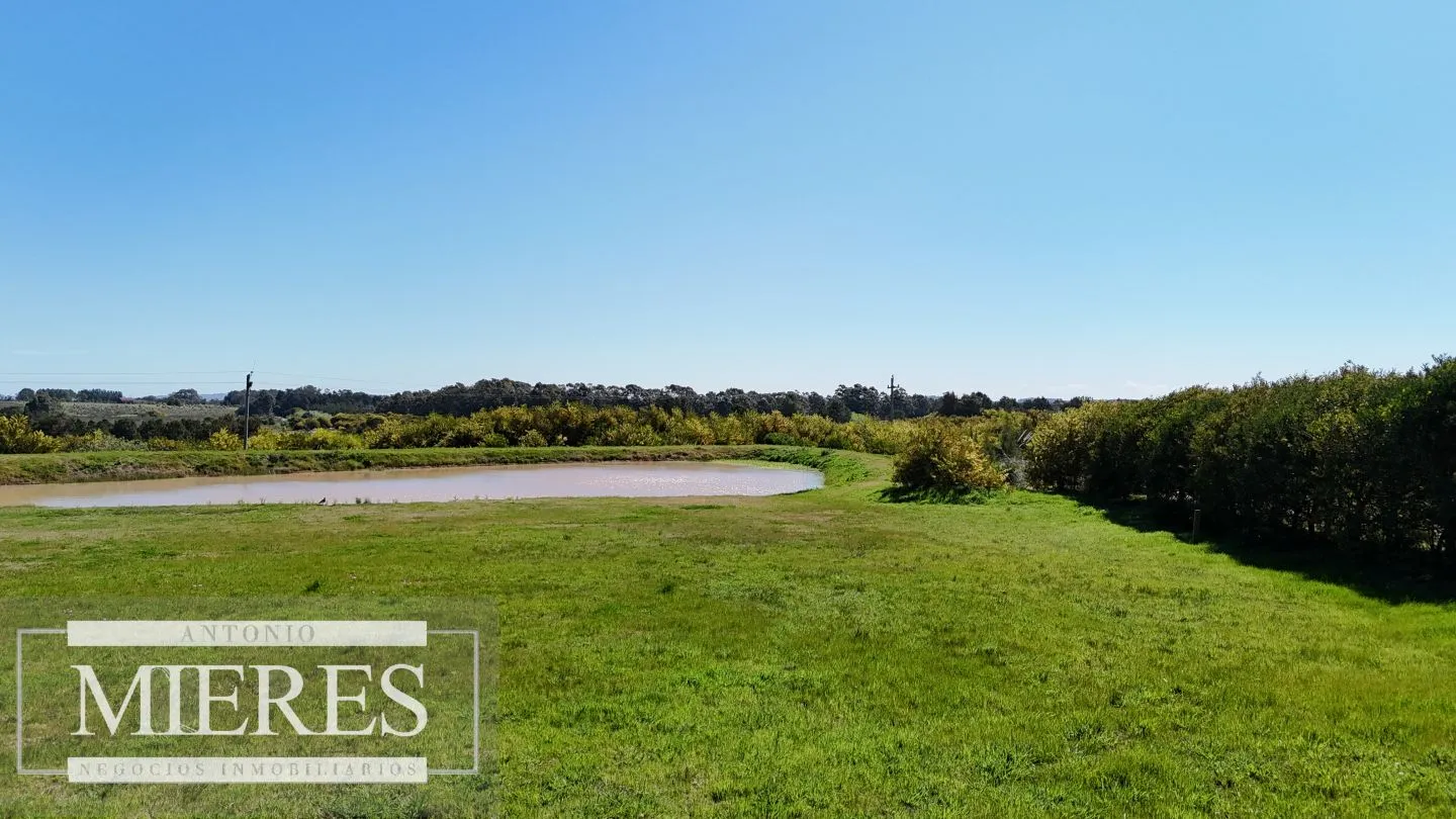 VENTA LOTE 7099 M2 BARRIO EN PH DE 7 UNID. ZNA GOLF LA BARRA — foto 7