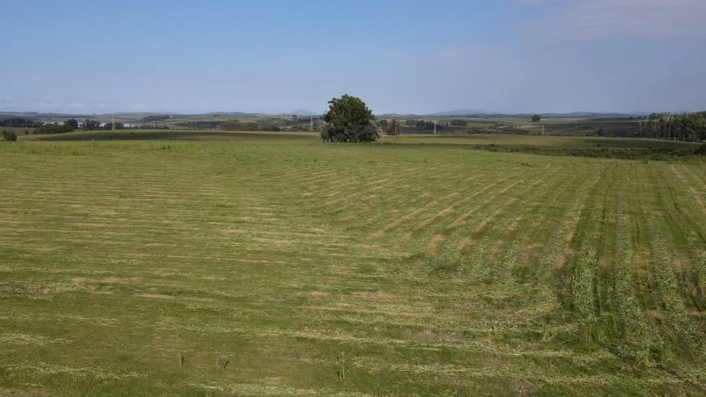 Chacra / Campo 73 ha en Maldonado — foto 12