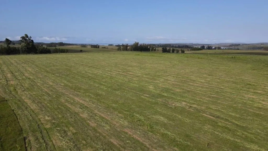 Chacra / Campo 73 ha en Maldonado — foto 13