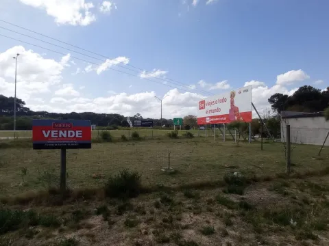 Terreno con mejoras y cartel rutero - Chihuahua — foto 4