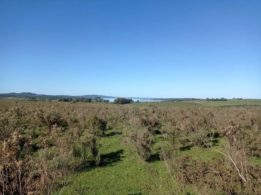 Chacra / Campo 44 ha en Maldonado — foto 1