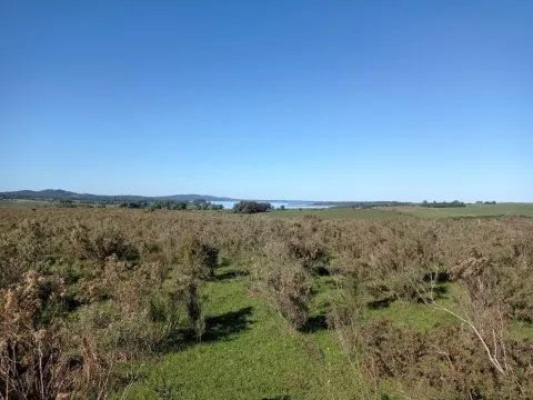 Chacra / Campo 44 ha en Maldonado