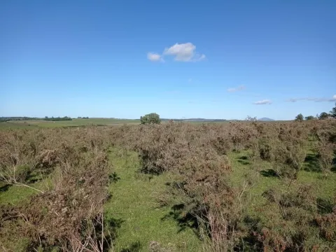 Chacra / Campo 44 ha en Maldonado — foto 2