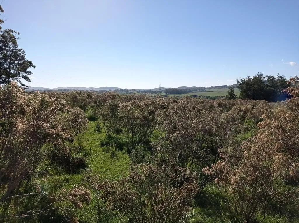 Chacra / Campo 44 ha en Maldonado — foto 3