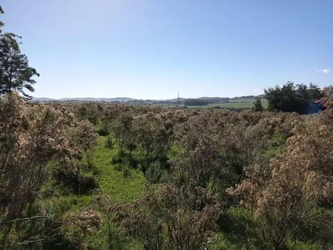 Chacra / Campo 44 ha en Maldonado — foto 3