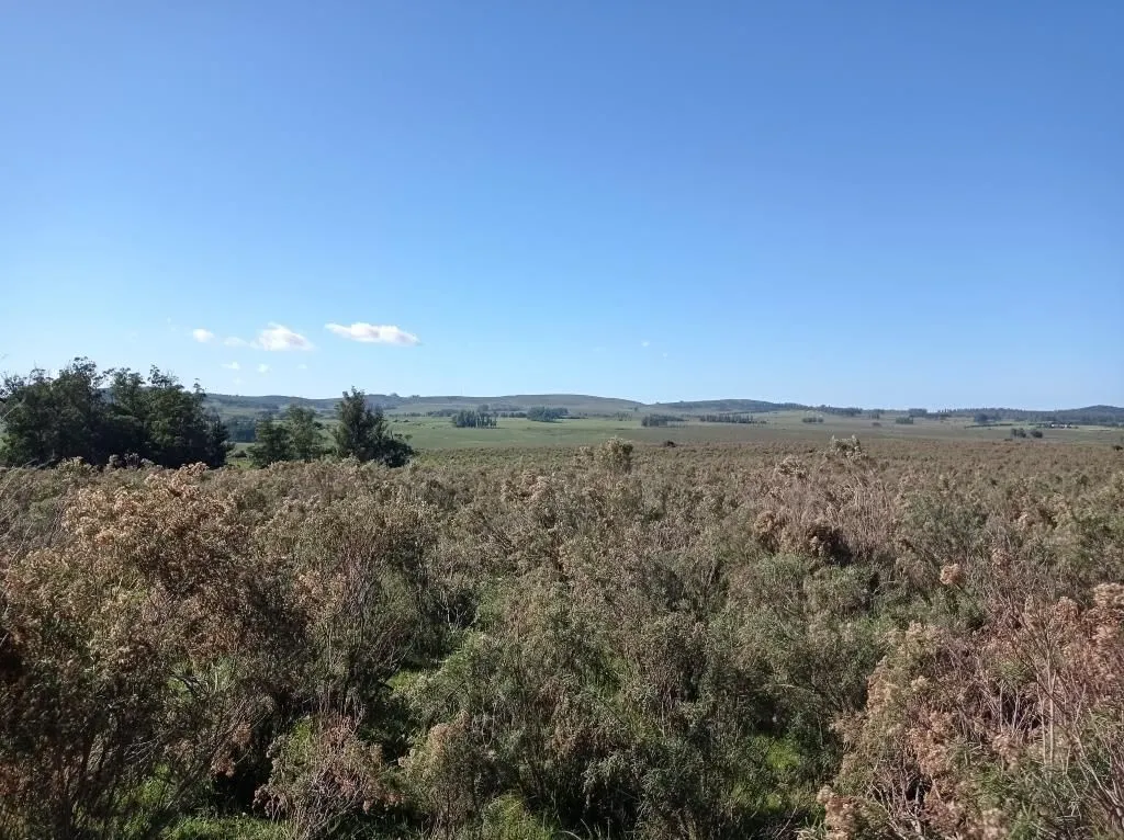 Chacra / Campo 44 ha en Maldonado — foto 4
