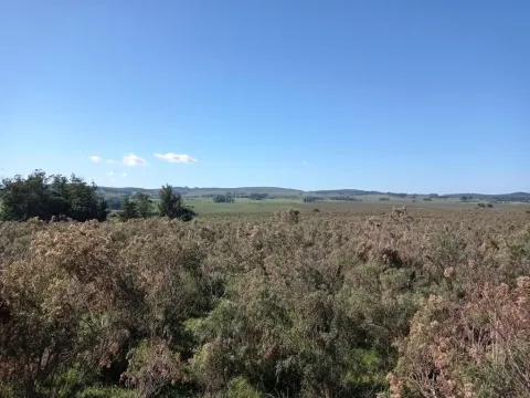 Chacra / Campo 44 ha en Maldonado — foto 4