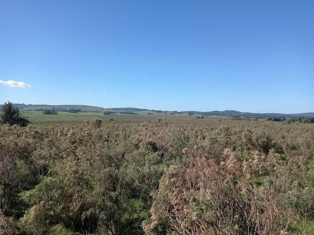 Chacra / Campo 44 ha en Maldonado — foto 5