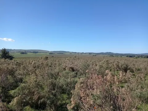 Chacra / Campo 44 ha en Maldonado — foto 5