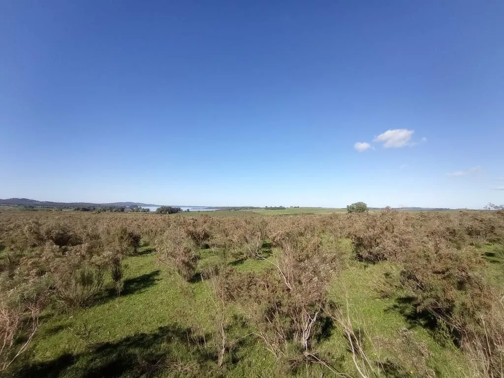 Chacra / Campo 44 ha en Maldonado — foto 6