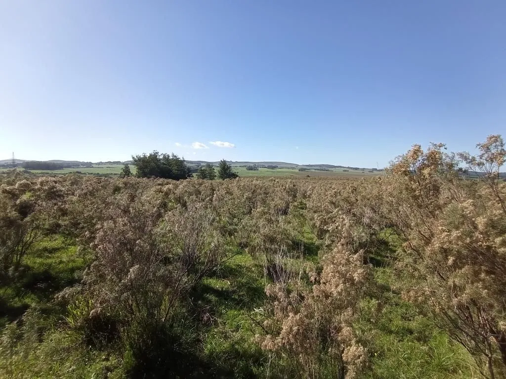 Chacra / Campo 44 ha en Maldonado — foto 8