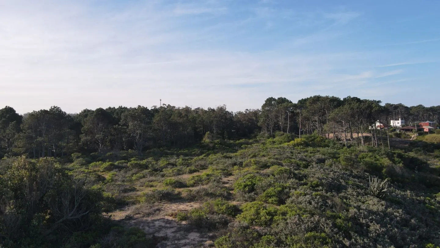 Lote a la venta en excelente ubicación| Sauce de Portezuelo — foto 4