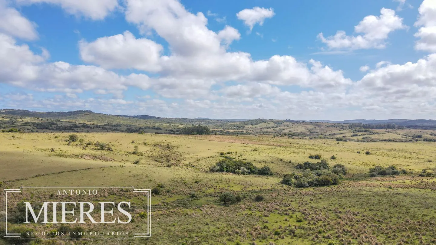 Campo de 77ha en Garzon Maldonado — foto 1