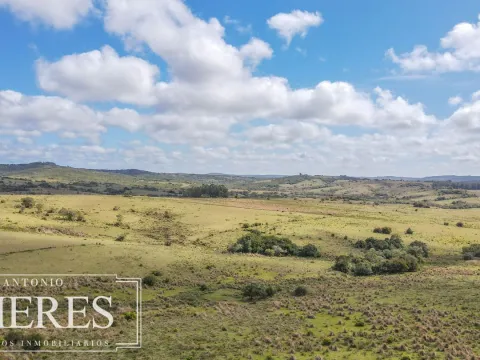 Campo de 77ha en Garzon Maldonado