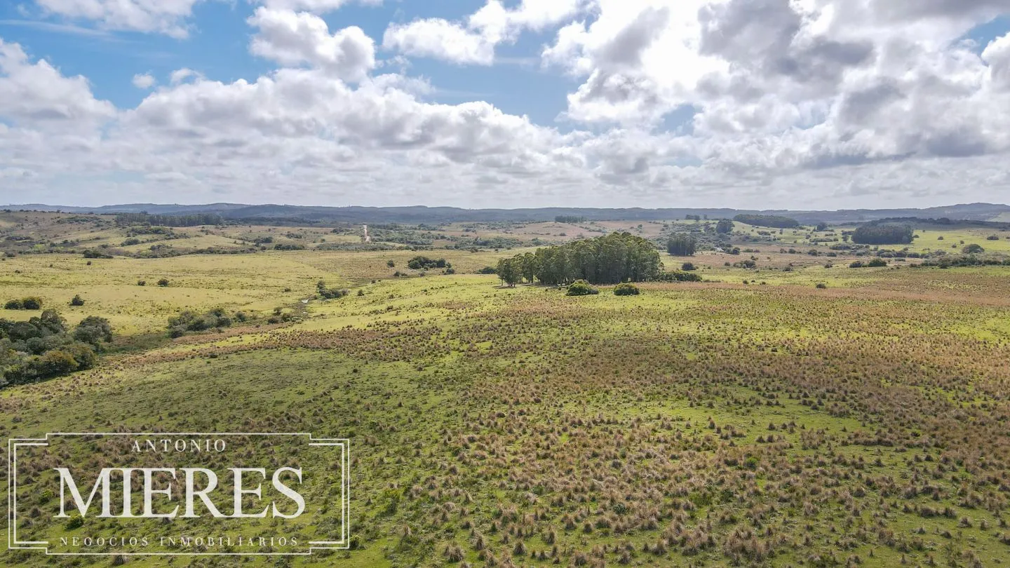Campo de 77ha en Garzon Maldonado — foto 2