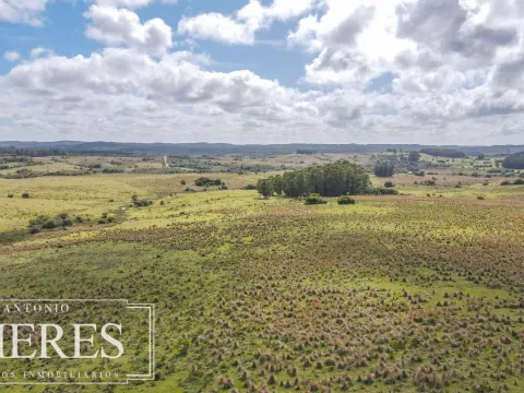 Campo de 77ha en Garzon Maldonado — foto 2