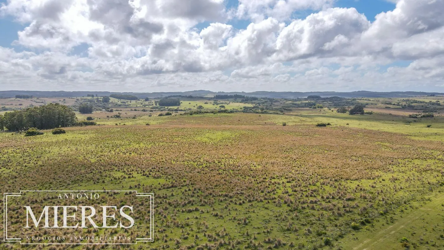 Campo de 77ha en Garzon Maldonado — foto 3