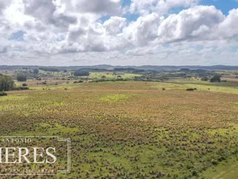 Campo de 77ha en Garzon Maldonado — foto 3