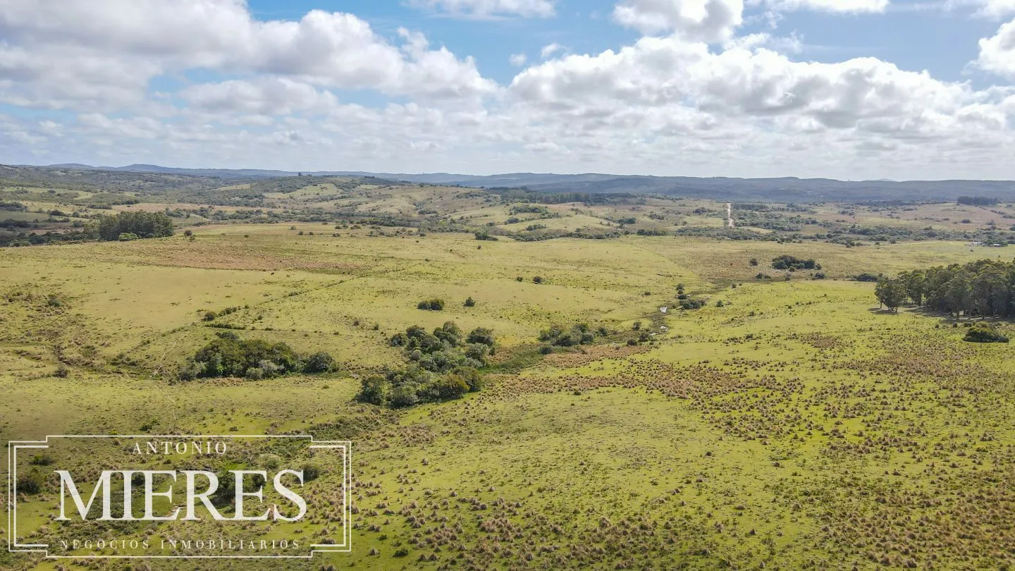 Campo de 77ha en Garzon Maldonado — foto 4