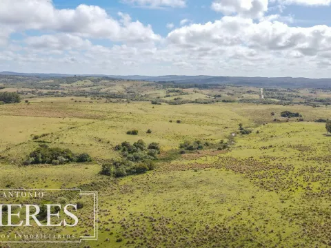 Campo de 77ha en Garzon Maldonado — foto 4