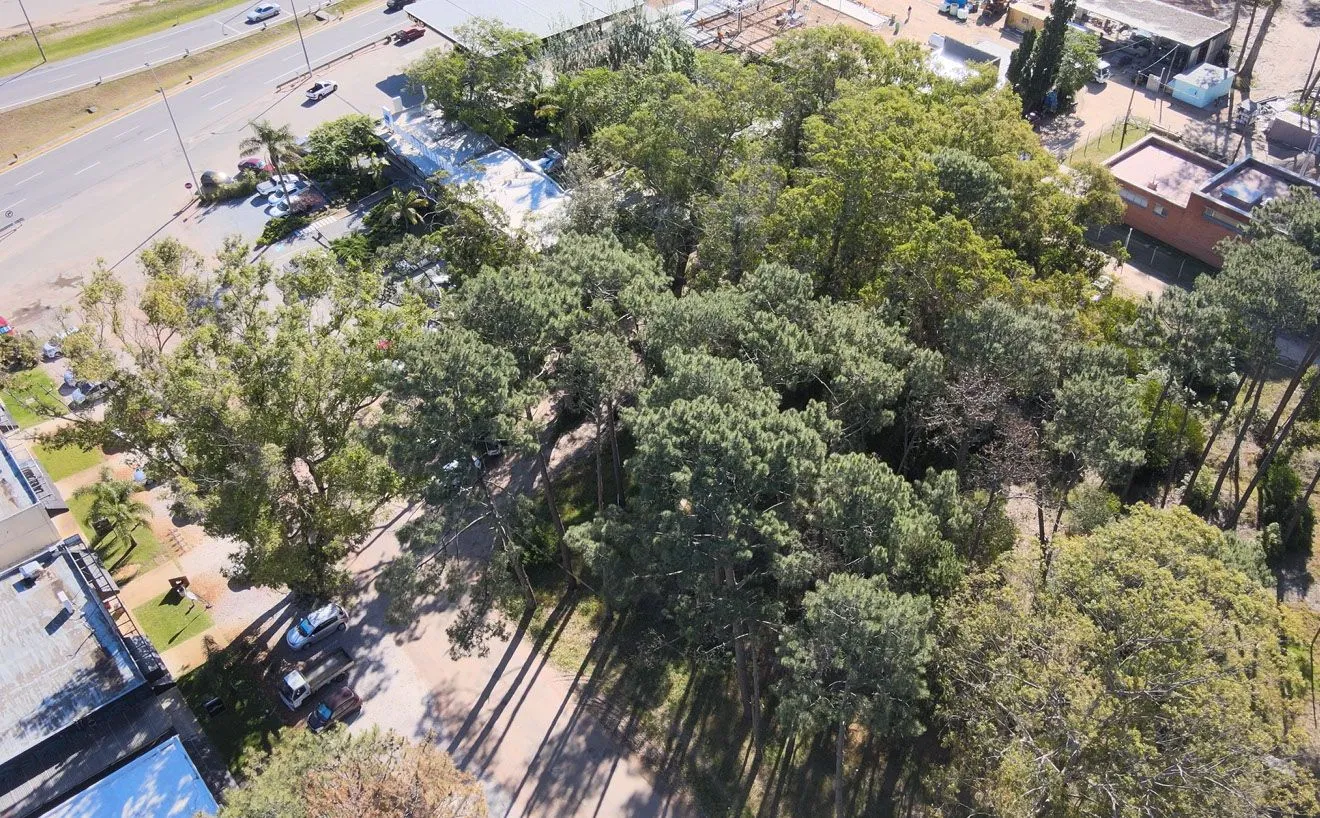 Venta de lote a pasos de Ruta Intelbanearia - Solanas — foto 6