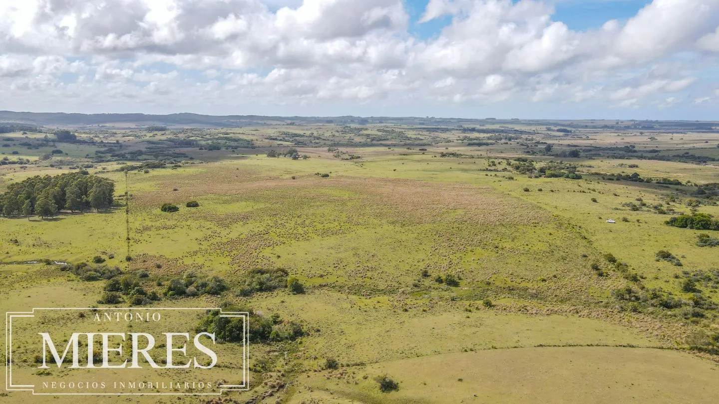 Campo de 77ha en Garzon Maldonado — foto 5
