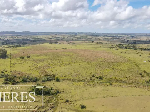 Campo de 77ha en Garzon Maldonado — foto 5