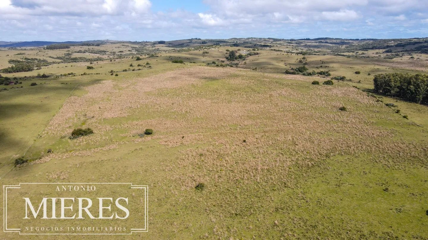 Campo de 77ha en Garzon Maldonado — foto 6
