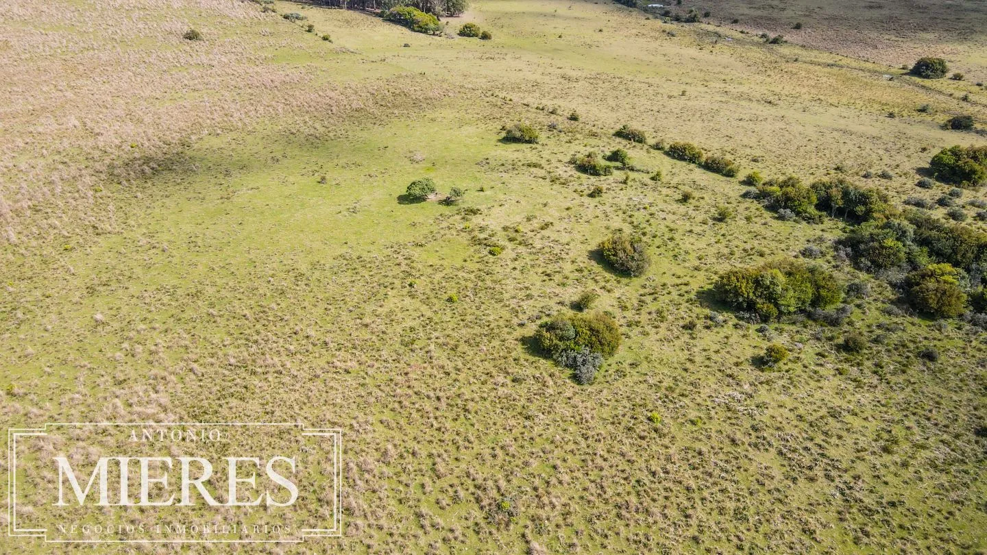 Campo de 77ha en Garzon Maldonado — foto 7