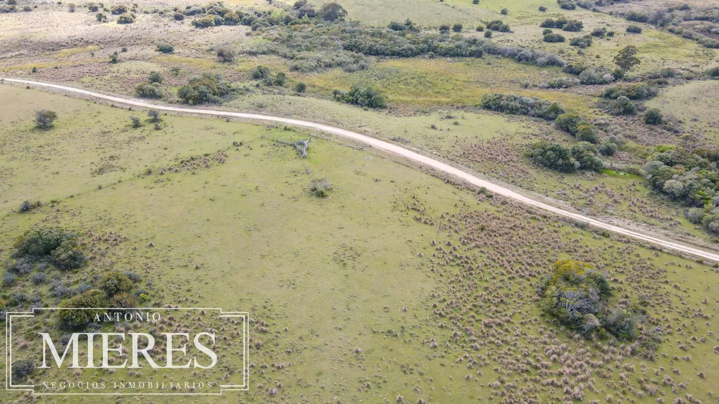 Campo de 77ha en Garzon Maldonado — foto 8