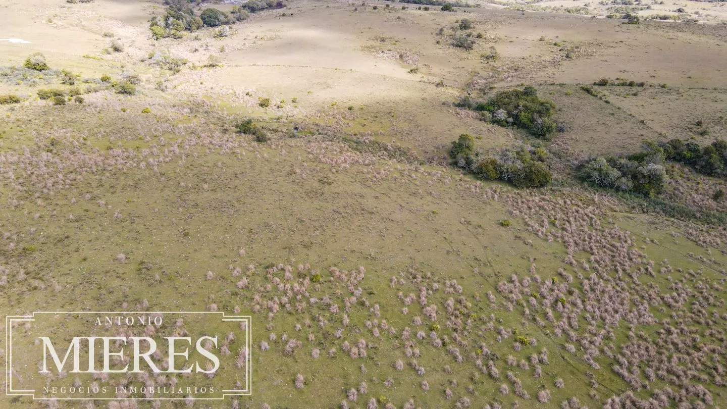 Campo de 77ha en Garzon Maldonado — foto 9